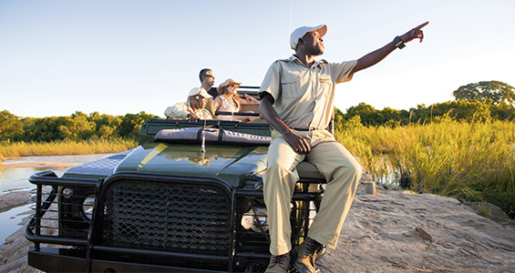 Cruise placeholder 1